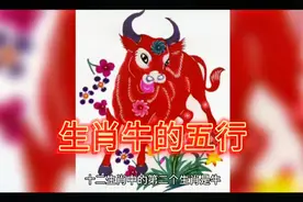 生肖牛的五行，如有雷同纯属巧合视频封面