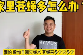 苍蝇最怕这碗水 家里放一个苍蝇死的干干净净 简单又实用视频封面