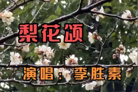 李胜素一首《梨花颂》最美国粹，京腔京韵，无法抗拒的魅力！视频封面