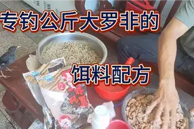 怎样避开小罗非，专钓公斤非？视频展现最强配方，不要错过哦！视频封面