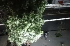 世间百态，不一样的人生，但都在默默的奉献着……视频封面