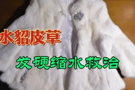 水貂皮草被妈妈拿去水洗了发硬还缩水变小用木板救治真的太厉害视频封面