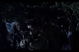 特种兵遭遇狼群视频封面