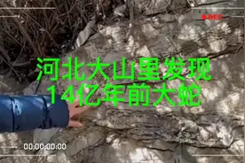「历史故事」河北大山里发现，14亿年前的大蛇视频封面