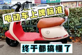 终于搞懂电动车上牌标准了，黄牌蓝牌都需要驾照，电动自行车不要视频封面