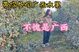 单身妹子流浪广西南宁，水果数量令人惊叹，这里山美水美人更美视频封面