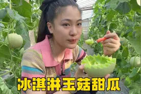 连夜开车1000多公里来到山东，第一次来到玉菇甜瓜产地，好吃好甜视频封面