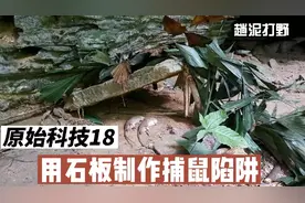 原始科技18：用石板制作捕鼠陷阱视频封面