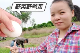小伙回村能省则省，带媳妇在田里溜达一圈收获满满，荤素都有了视频封面