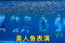 在海洋世界，第一次看美人鱼表演，好震撼呀视频封面