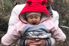 狗崽虎妞回家过年的快乐之表情包视频封面