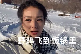 今年雪下的大，野鸡都来家里吃粮食！视频封面