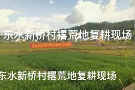 东水新桥村撂荒地复耕复种现场，县委书记陈劲松一行前往指导视频封面