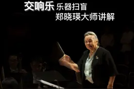 交响乐乐器扫盲——郑晓瑛大师讲解视频封面