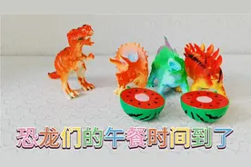 恐龙们的午餐时间到了，快来看看它们都吃些什么吧？