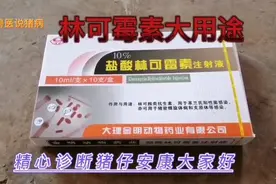 林可霉素和不同的药物配伍能治疗多种疾病，你知道吗？