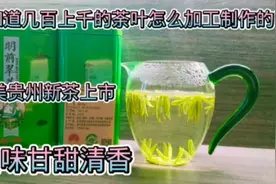 清明茶上市啦！您知道清香甘甜的茶叶怎么制作加工的吗？视频封面