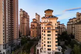 门前的老树还守在大门囗！视频封面