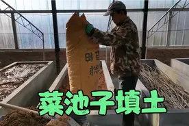 房顶上垒菜池子，怎么填土，填什么土，大房不受到伤害，菜长的好视频封面