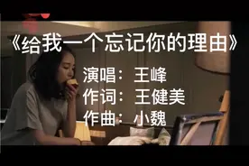 王峰《给我一个忘记你的理由》歌曲太伤感 太扎心 忘记真的好难视频封面