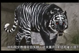 中科院女教授，双目失明＋丈夫离开，8年后结局催人泪下视频封面