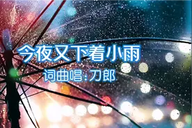 刀郎演唱的经典情歌《今夜又下着小雨》，歌声沧桑伤感，催人泪下视频封面