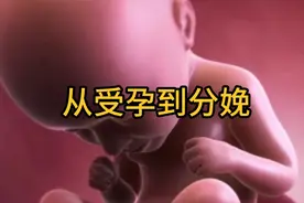 从受孕到分娩，十月怀胎一朝分娩视频封面