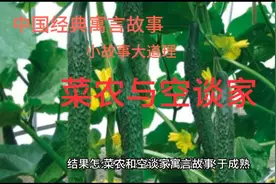菜农与空谈家视频封面