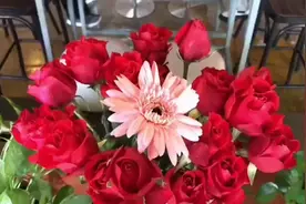 婚姻的真相：你和谁结婚都一样，婚姻是一场自我的修行视频封面