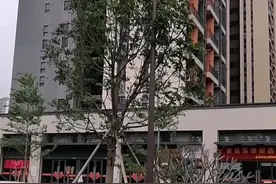中山佳兆业大都汇视频封面