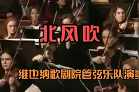 维也纳歌剧院管弦乐队演奏《北风吹》熟悉的旋律，百听不厌！视频封面