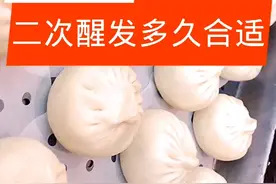 包子二次醒发多久合适【包子技术】视频封面