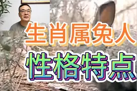 生肖属兔的人，有什么性格特点，看看对不对？视频封面
