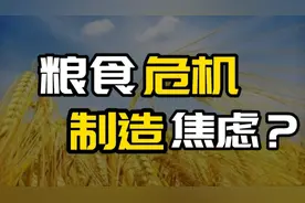 国内缺粮食吗？大量进口国外粮食的背后真相？视频封面