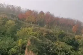 抖音看时间长了手机会卡顿教你一个方法去解决。