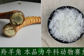 单味中药助记小视频·羚羊角视频封面