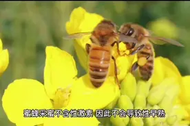 蜂蜜水好， 有一类人却不能喝。这一点你必须知道视频封面