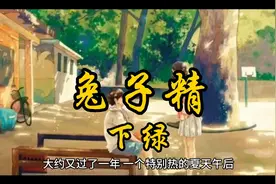 民间故事兔子精下集视频封面