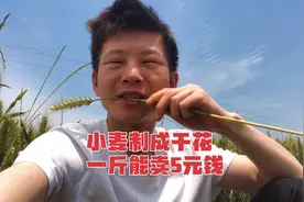 小麦不当粮食卖，制作成“干花”卖，你怎么看视频封面