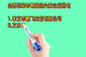 山西吕梁市最强的六家企业排名视频封面