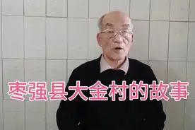 河北省枣强县枣强镇大金村的故事视频封面