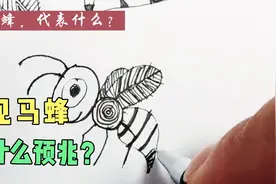 做梦梦见马蜂好不好？梦到马蜂是什么意思？#马蜂 #梦见马蜂视频封面