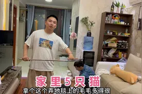 两个男生家里面养了5只猫，天天打扫卫生，5只猫加起来都快2万了视频封面
