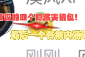 西瓜的四个隐藏表情包！最后一个有被内涵到！视频封面