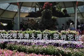 4月1日深圳终于摘星，全域低风险，深圳仙湖植物园也恢复了开放。视频封面