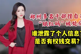 郑州通报“红码”事件调查情况，谁泄漏了个人信息？视频封面