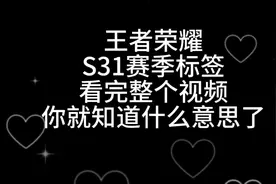 别找了，王者荣耀S31赛季标签身份，最全的都在这里视频封面