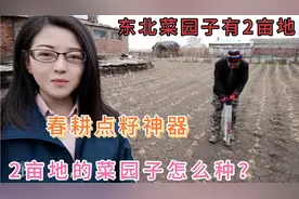 东北菜园子有多大？2亩地怎么种？春耕点籽神器一天可种2亩地视频封面