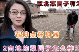 东北菜园子有多大？2亩地怎么种？春耕点籽神器一天可种2亩地视频封面