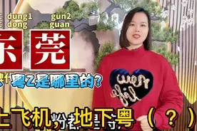 东莞、清远、潮州、阳江各地特色， 广东11个地级市车牌代码
